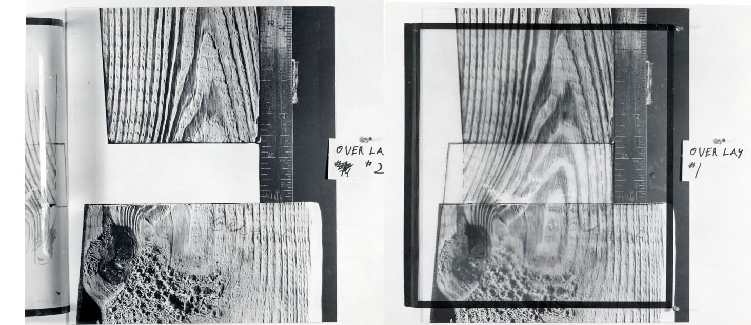Woodgrain Evidence with Artist's Reconstruction