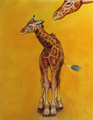 Baby and Mama Giraffe