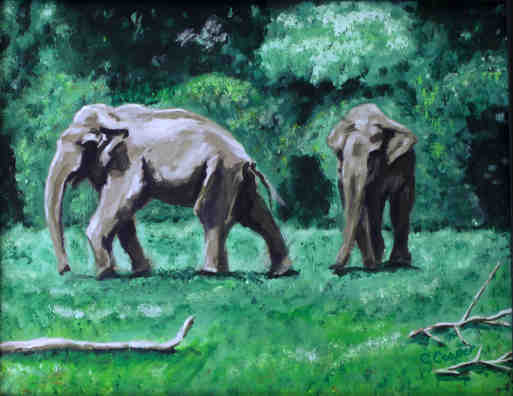 Elephants - Acrylic