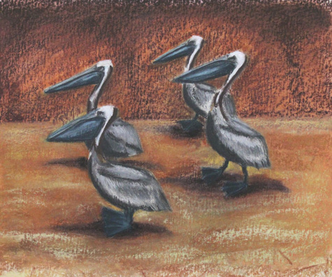 Four Pelicans