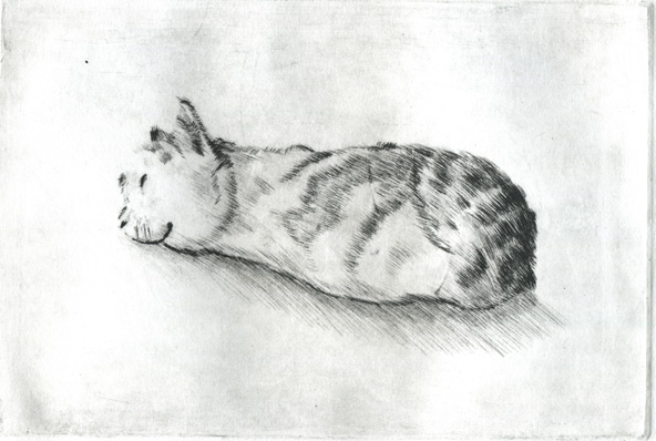 Cat Dry Point Print