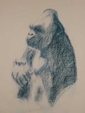 Modern Art Gorilla - Pastel