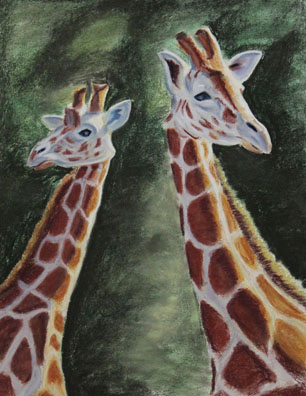Norristown Giraffes