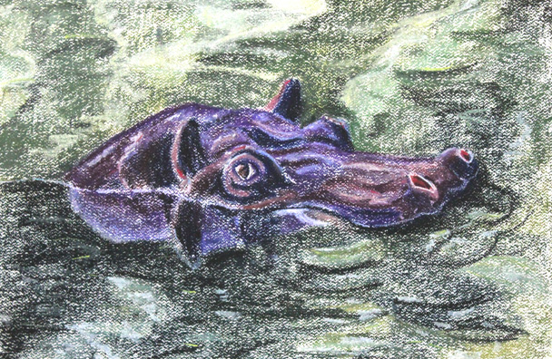 Peeking Hippopotamus Pastel