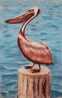 Pelican Pastel