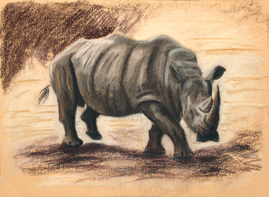 Rhinoceros - Pastel