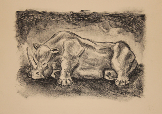 Rhinoceros - Stone Lithograph