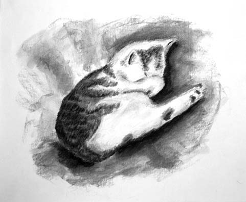 Sleeping Cat #2