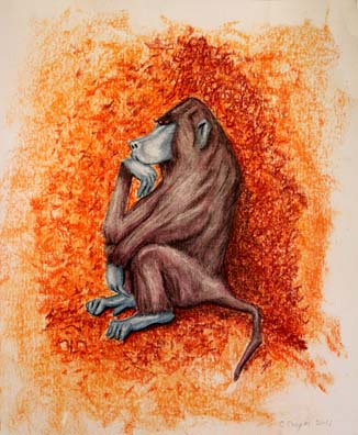 Thoughtful Baboon