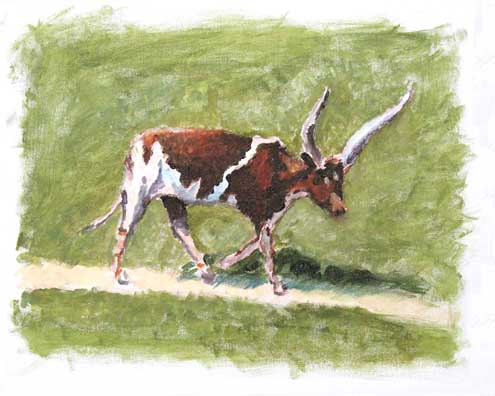 Ankole Watusi Cow