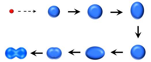 Atomic Fission