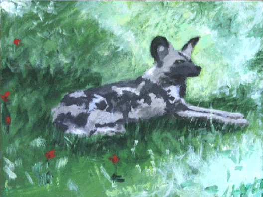 African Wild Dog