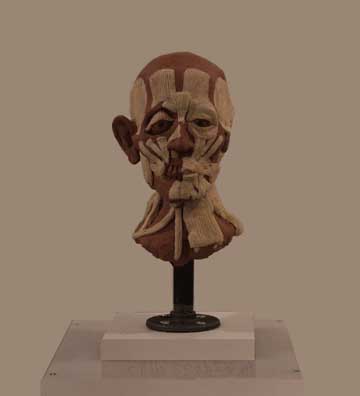 Ecorche Portrait Bust