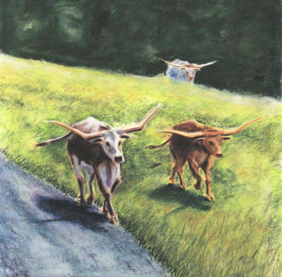 Longhorn Cattle