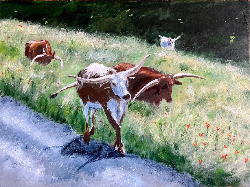 Longhorn Cows