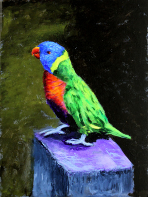 Lorikeet