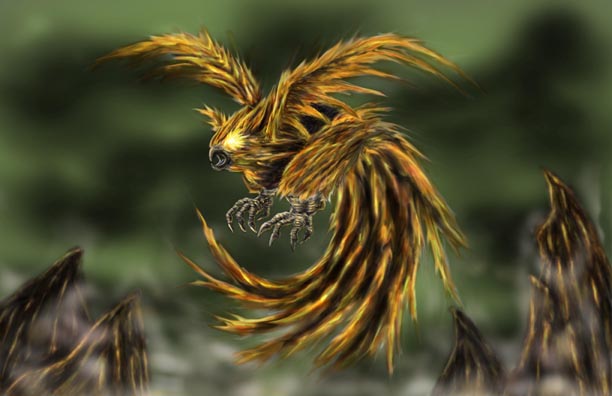 realistic phoenix bird