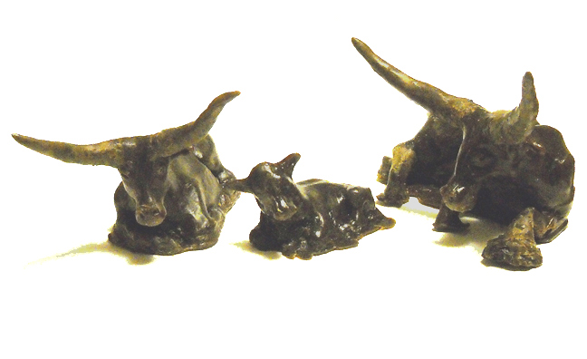 Calf Bronze Study